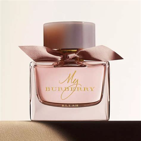 my profumo burberry|burberry fragrance colors.